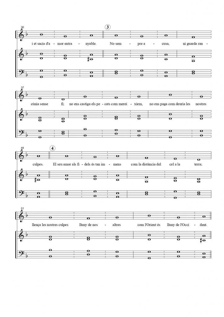 DIUMENGE VII DE DURANT L'ANY A