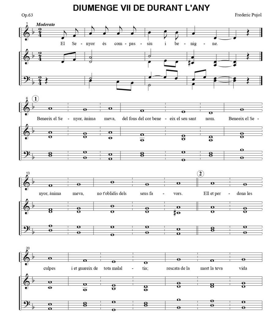 DIUMENGE VII DE DURANT L’ANY C