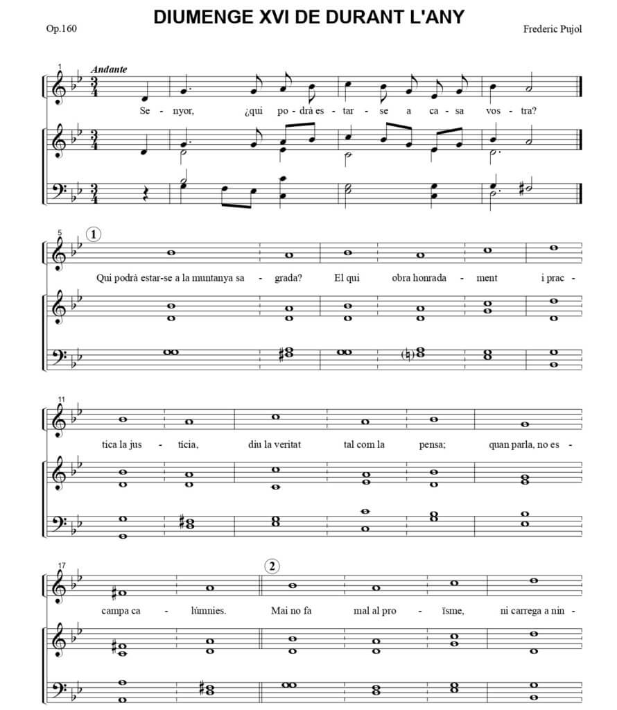 DIUMENGE XVI DE DURANT L’ANY C