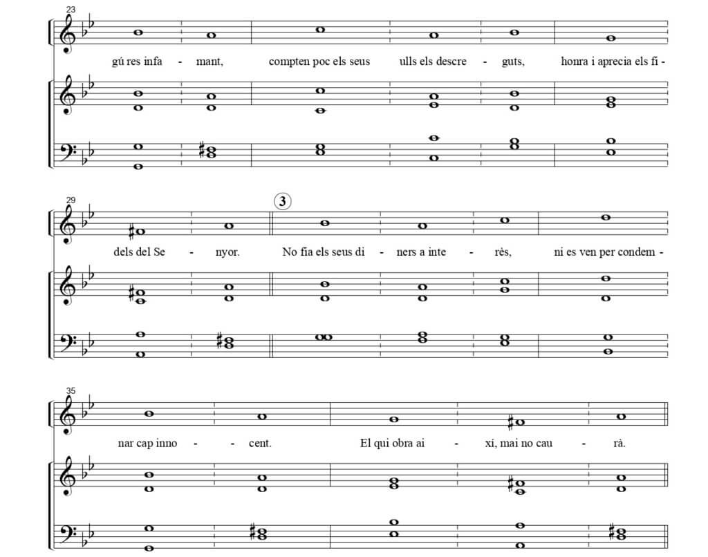 DIUMENGE XVI DE DURANT L’ANY C