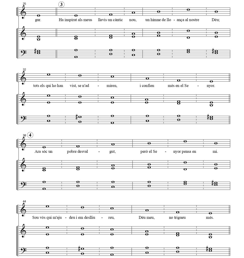 DIUMENGE XX DE DURANT L’ANY C