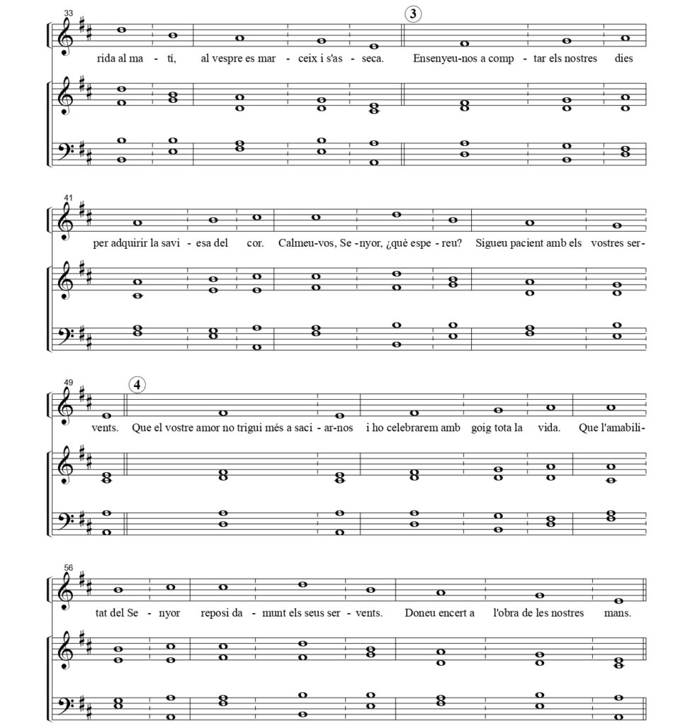DIUMENGE XXIII DE DURANT L’ANY C