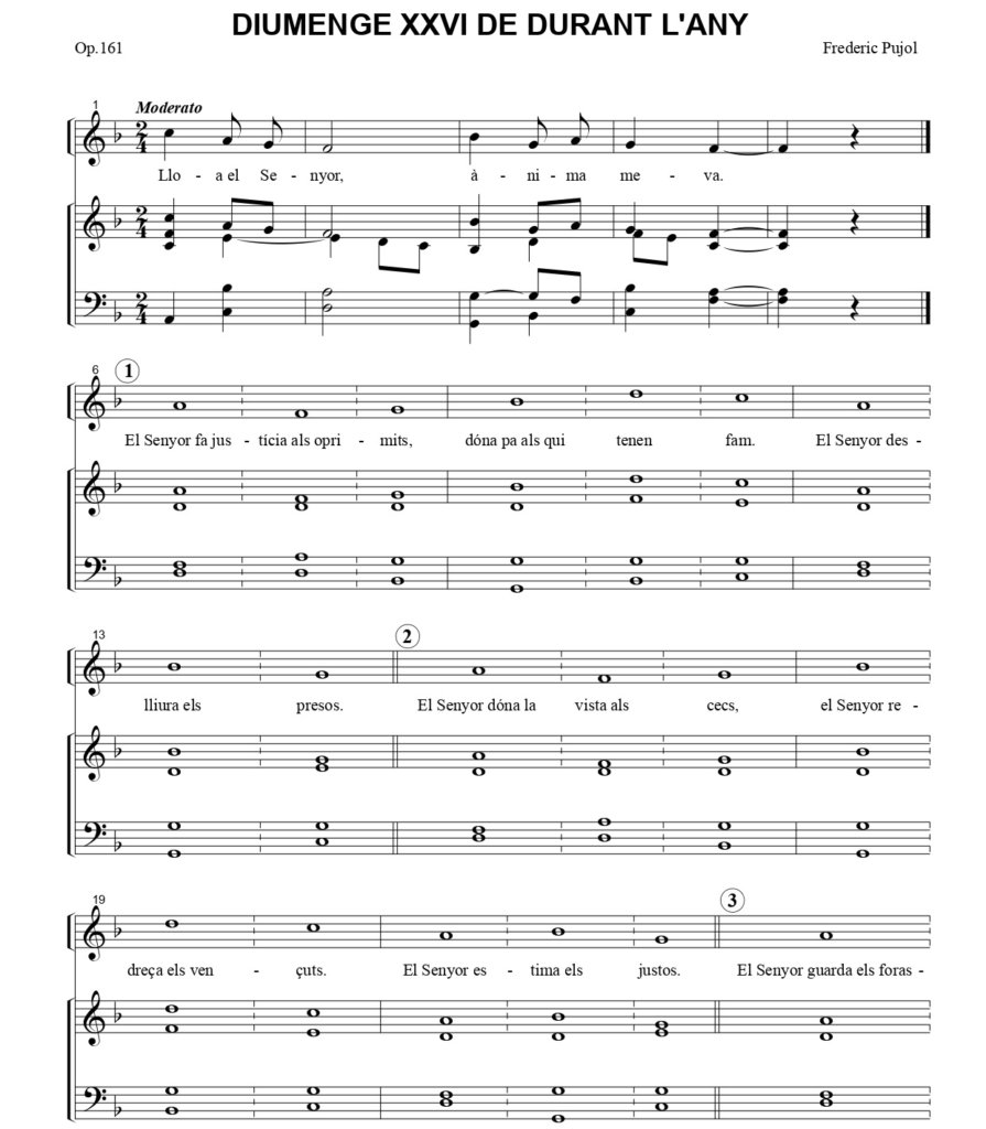 DIUMENGE XXVI DE DURANT L’ANY C